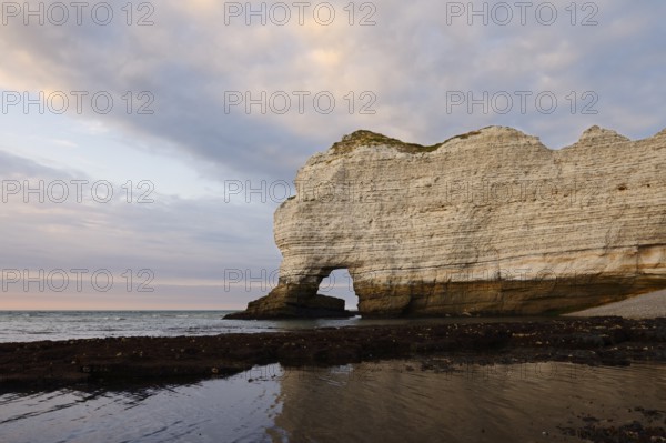 Cliffs with the Porte d'Amont rock gate, Etretat, Alabaster Coast, Seine-Maritime, Normandy, France