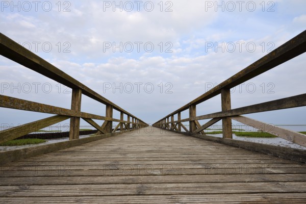 Wooden walkway in the Wadden Sea, Wadden Sea National Park, North Frisia, Schleswig-Holstein, Germany