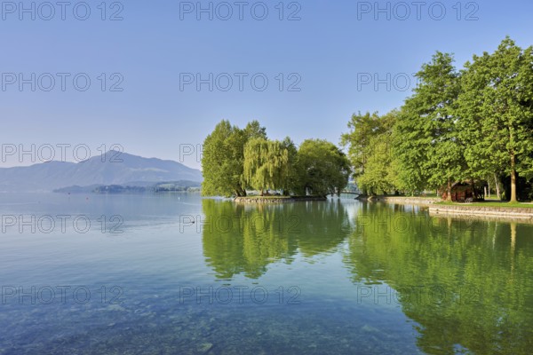 Lake Zug, behind the Rigi, Villette, Park, Cham, Canton Zug, Switzerland