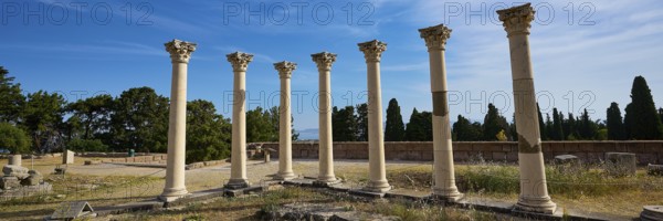 Row of ancient columns under blue sky, surrounded by vegetation, Temple of Apollo, Corinthian Columns, Asklipion, Asklepieion, Healing Temple, Temple, Hippocrates, Kos, Dodecanese, Greek Islands, Greece
