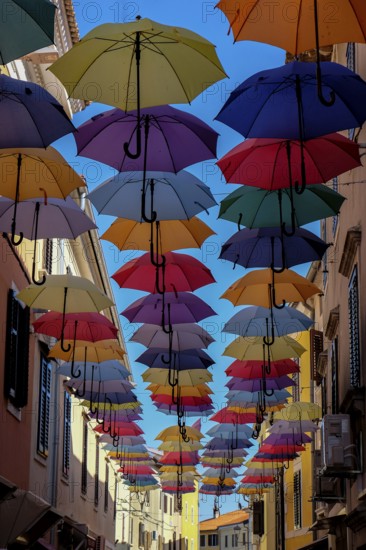 Colourful umbrellas over a street, Novigrad, Istria, Croatia