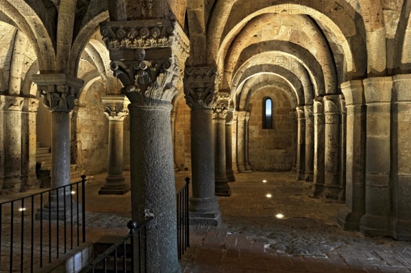 Vaults, columns and capitals in the underground grove of columns, pagan crypt, 10th century, atmospheric lighting, Cathedral of Acquapendente, Basilica of the Holy Sepulchre, Basilica Santo Sepolcro, Basilica minor, Aquapendente, Province of Viterbo, Lazio, Italy
