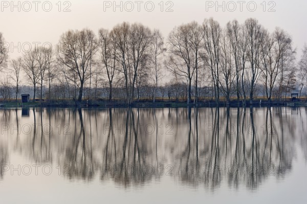 Evening mood at Moosinninger Weiher, quarry pond, fishing pond for carp, reflection of the trees on the shore, smooth calm water, Moosinning in Erdinger moss, Erding, Upper Bavaria, Bavaria, Germany