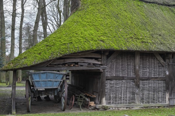 Old barn with moss-covered thatched roof, Lower Saxony, Germany