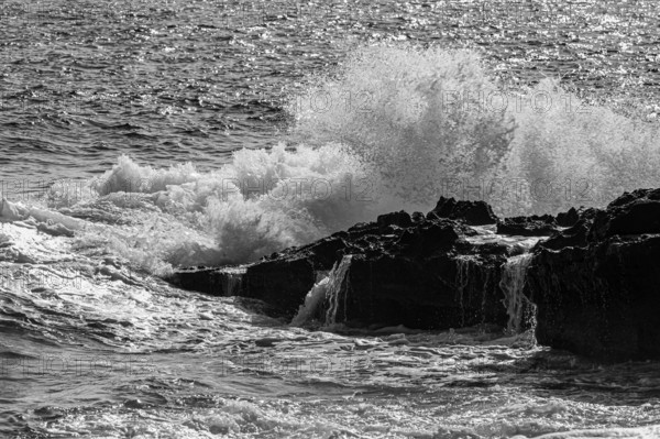 Rugged rocky coast at Stecci beach, black and white photograph, near Capoliveri, Elba Island, Tuscan Archipelago National Park, Tuscany, Italy