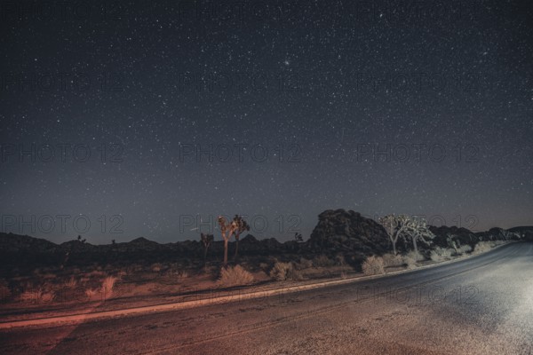 Starry sky in Joshua Tree National Park