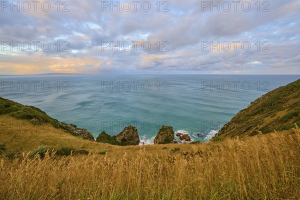 Grassy cliffs spread over coastal hills overlooking the sea, summer, Nugget Point Lighthouse, Ahuriri Flat, Otago, South Island, New Zealand