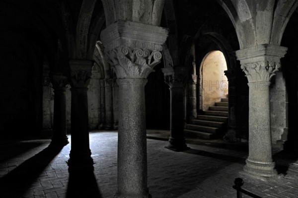Vaults, columns with capitals, underground grove of columns, pagan crypt, 10th century, gloomy lighting, dramatic, Cathedral of Acquapendente, Basilica of the Holy Sepulchre, Basilica Santo Sepolcro, Basilica minor, Aquapendente, Province of Viterbo, Lazio, Italy