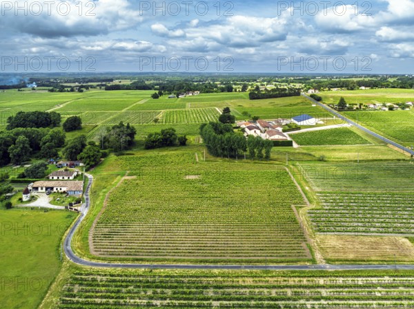 Vineyards and grape fields around Bordeaux from a drone, Saint-Mariens, Gironde, Nouvelle-Aquitaine, France