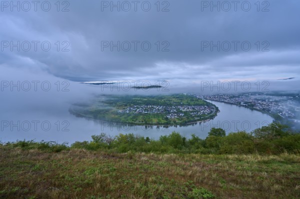 River in morning mood under cloudy sky, slightly shrouded in haze, summer, Rhine bend Boppard, Gedeonseck, Boppard, Rhine, Rhine-Hunsrück district, Rhineland-Palatinate, Germany