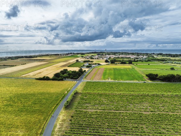 Fields and Grape plantations from a drone, Saint-Clement-des-Baleines, Atlantic, France