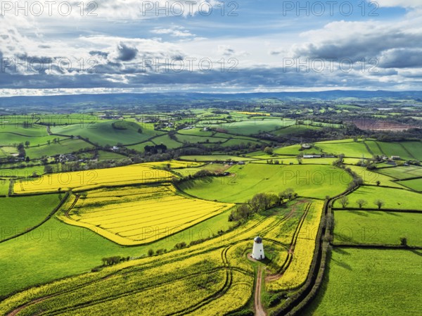 Rapeseed Fields and Farms over Torquay from a drone, Devon, England, United Kingdom