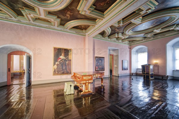Panelled chamber with valuable historical coffered ceiling, Museum Zeitzer Schloss Moritzburg, early baroque style, interior view, Zeitz, Saxony-Anhalt, Germany