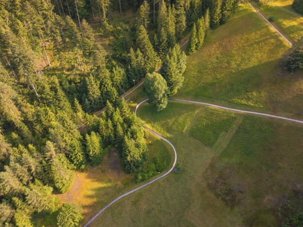 Bird's eye view over green forest areas and paths, picturesque in the calm summer light, Retro Freizeitpark Poppeltal Riesenrutschbahn, Enzklösterle, Black Forest, Germany