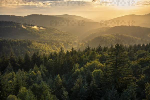 View of the forest from the Teltschikturm at sunset. Wilhelmsfeld, Odenwald, Rhine-Neckar district, Baden-Württemberg, Germany