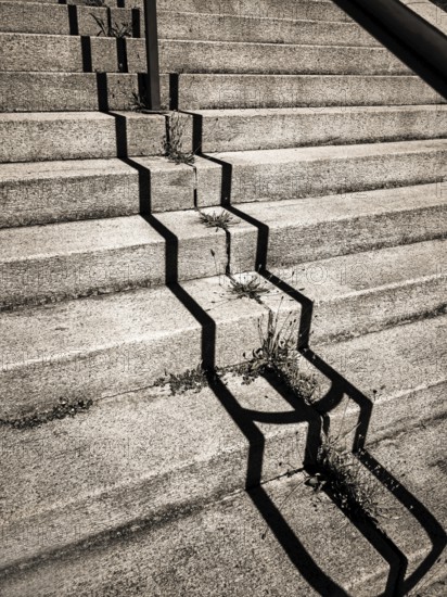 Uneven concrete steps in an urban area expose cracks filled with weeds growing in the crevices. Sunlight highlights the contrast between nature and urban decay