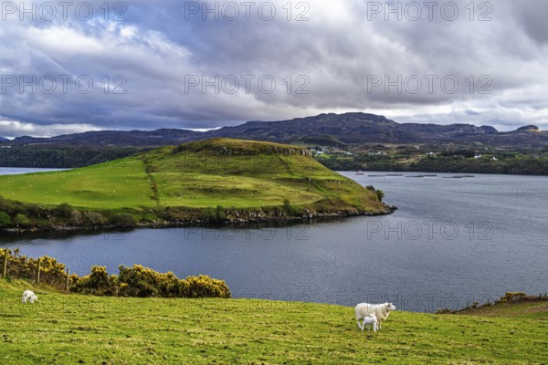 Farms over Loch Harport, Drynoch, Isle of Skye, Scotland, UK