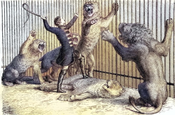 Thomas Batty, 1832-1903, English tamer and circus owner and his lions, coloured woodcut from 1864, man in a cage taming several lions with a whip