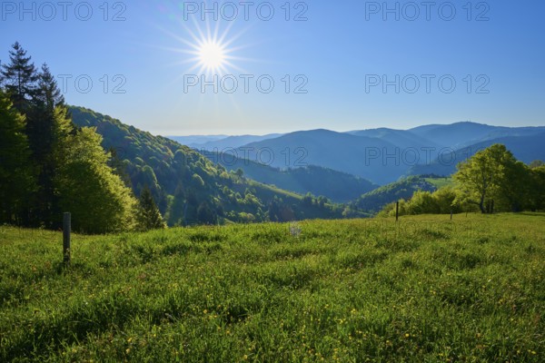 A sweeping view across a green meadow into a mountainous landscape under the sun, spring, Schauinsland, Freiburg im Breisgau, Black Forest, Baden-Württemberg, Germany