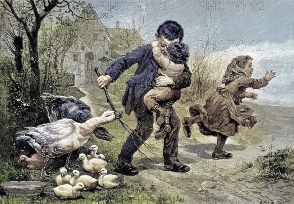 Dangerous encounter, goose mother and goose father defend their young from the curious children, original drawing by D. Schulz, Germany, illustration, published 1890, reproduction, digitally enhanced, historical