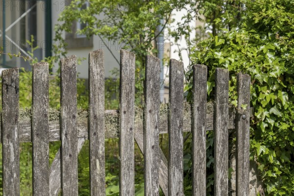 Old garden gate made of weathered wood, North Rhine-Westphalia, Germany