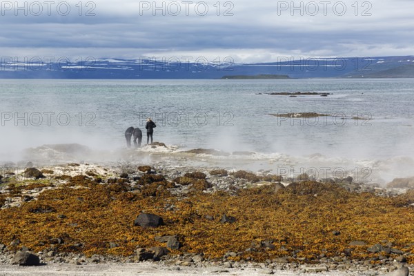 Hot spring flows into the sea, tourists on the steaming rocky coast near Reykjanes, Súðavík, Ísafjarðardjúp fjord, Vestfirðir, Westfjords, Iceland