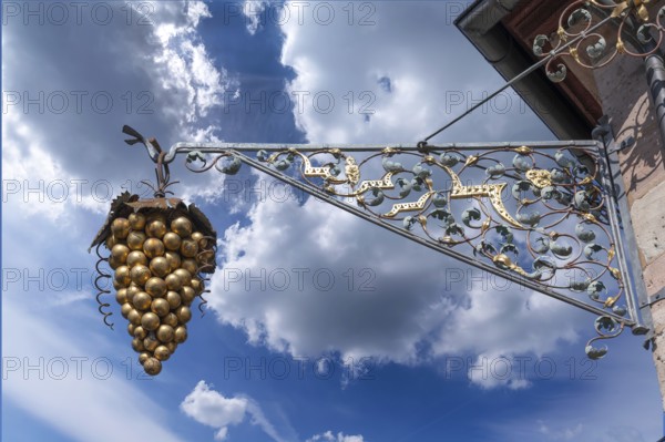 Nose sign with bunch of grapes at a wine bar, Kirchenstraße 2, Erlangen, Middle Franconia, Bavaria, Germany