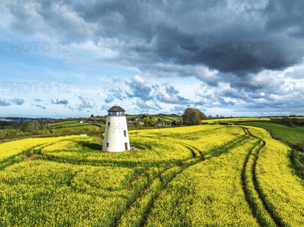Rapeseed fields and Farms over Devon Windmill from a drone, Torquay, Devon, England, United Kingdom