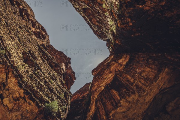 Bungle Bungle Range, Outback, hiking in Australia in high heat, Western Australia, Australia