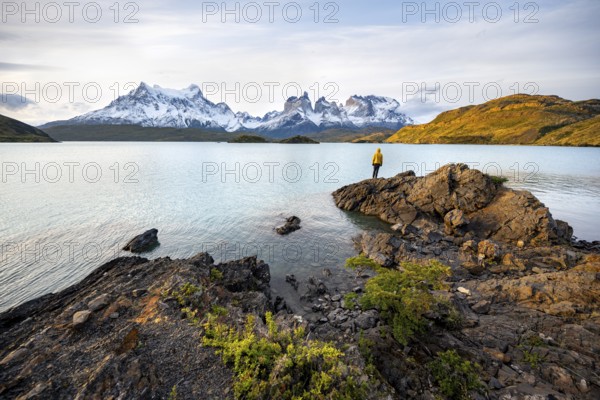 Young man on the shore of the blue lake Lago Pehoe in the evening light, Cuernos del Paine mountain range, Torres del Paine National Park, Chile