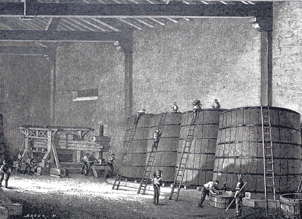 Wine production, view into a fermentation cellar, in the background an old wooden press, around 1880, digitally improved reproduction of a 19th century model, historical, exact date unknown