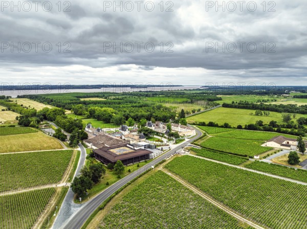Vineyard of Chateau Beychevelle from a drone, Saint-Julien-Beychevelle, France