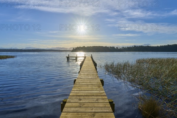 A long footbridge leads through reeds into the water of a lake, the sun is in the sky, Lake Mahinapua, Ruatapu, South Island, New Zealand