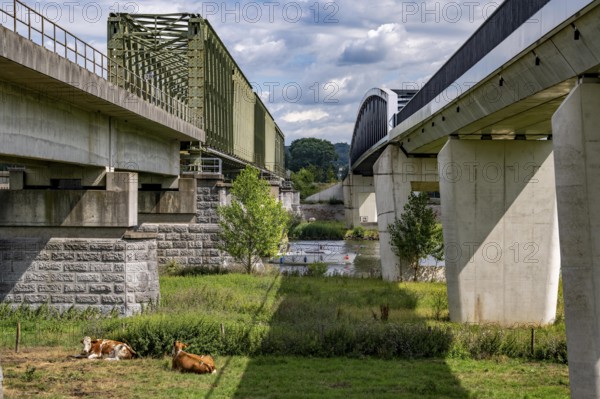 De Massover cycle path bridge, over the Meuse south of Nijmegen, near Cuijk, part of the MaasWaalpad long-distance cycle path, 12 km between Nijmegen and Cuijk, built in 2021, for 15 million euros, Meuse river crossing for cyclists and pedestrians, part of a cycle path network, used by many commuters, next to a railway bridge, Netherlands