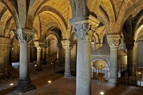 Vaults, canopy, columns and capitals in the underground grove of columns, pagan crypt, 10th century, atmospheric lighting, Cathedral of Acquapendente, Basilica of the Holy Sepulchre, Basilica Santo Sepolcro, Basilica minor, Aquapendente, Province of Viterbo, Lazio, Italy
