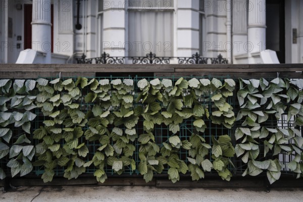 Artificial plastic plant leaves on a fence, Kensington, London, England, Great Britain