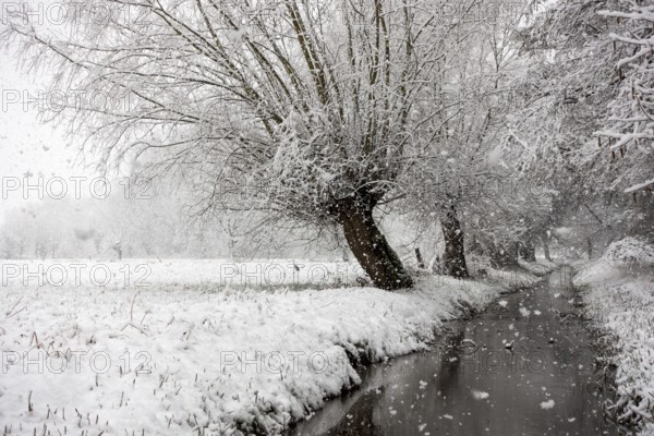 Stream, old drainage ditch in the Rhine floodplains near Meerbusch in winter with snow, Ilvericher Altrheinschlinge with snowfall, local nature, landscapes in the snow, rare weather conditions in the Rhineland, Lower Rhine, Meerbusch, North Rhine-Westphalia, Germany, Western Europe