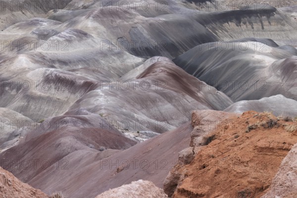 Colorful deposits of the Chinle Formation exposed at Little Painted Desert County Park near Winslow, Arizona