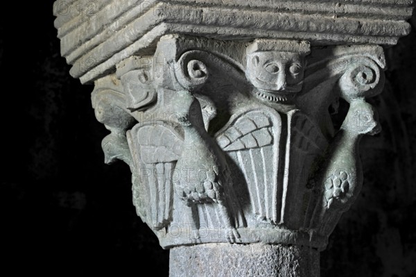 Column capital with dove, relief in stone, underground grove of columns, pagan crypt, 10th century, gloomy illumination, Cathedral of Acquapendente, Basilica of the Holy Sepulchre, Basilica Santo Sepolcro, Basilica minor, Aquapendente, Province of Viterbo, Lazio, Italy