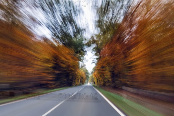 Country road through autumn forest, autumn leaves, oncoming traffic, cloudy weather, zoom effect, motion blur, Solling-Vogler nature park Park, Lower Saxony, Germany