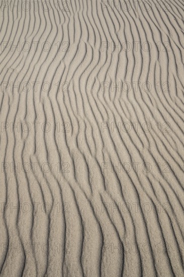 Wave-like wind-formed sand structures in close-up, Hvide Sande, North Sea, Denmark