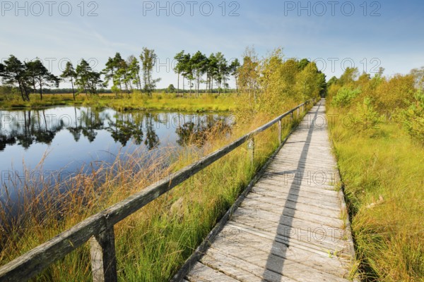 Bohlensteg leads through the Pietmoor in the Lüneburg Heath nature park Park, Lower Saxony, Germany