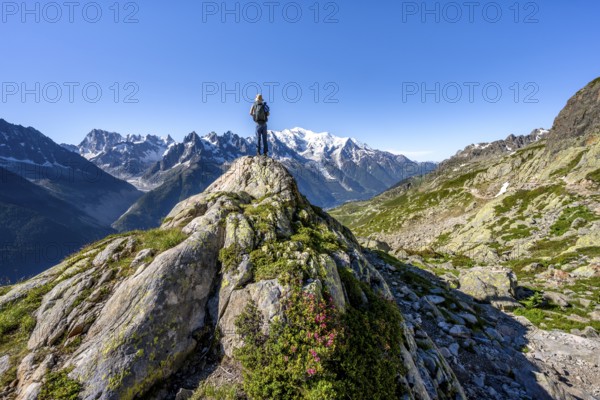 Mountaineer on a rock, mountain panorama with glaciated mountain peaks, Aiguille du Midi and Mont Blanc, Aiguille de Mesure and Aiguille de Chamois, Aiguilles Rouges, Chamonix, Haute-Savoie, France