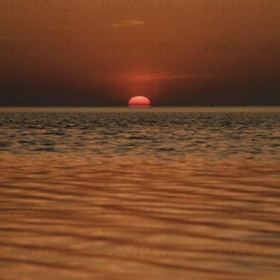 When the red sun sinks into the sea... Cuxhaven, North Sea, sunset in calm weather, glowing red fireball, sun sets fiery red over the sea, sinks into the sea, atmospheric picture, local nature, Lower Saxony Wadden Sea National Park, North Sea near Cuxhaven, Duhnen, Lower Saxony, Germany, Western Europe