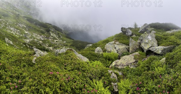 Wisps of mist drift over Kaltenbachsee, Schladminger Tauern, Sölktäler nature park Park, St. Nikolei, Styria, Austria