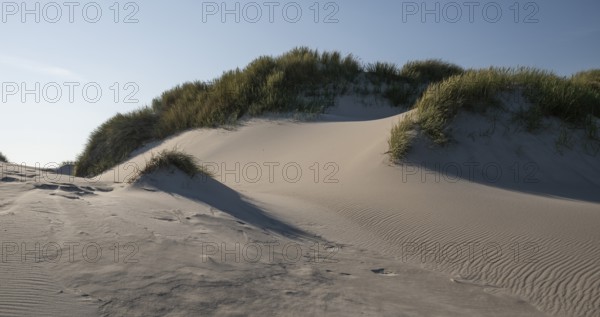 Gently rolling dunes with beach grass, blue sky, Hvide Sande, North Sea, Denmark