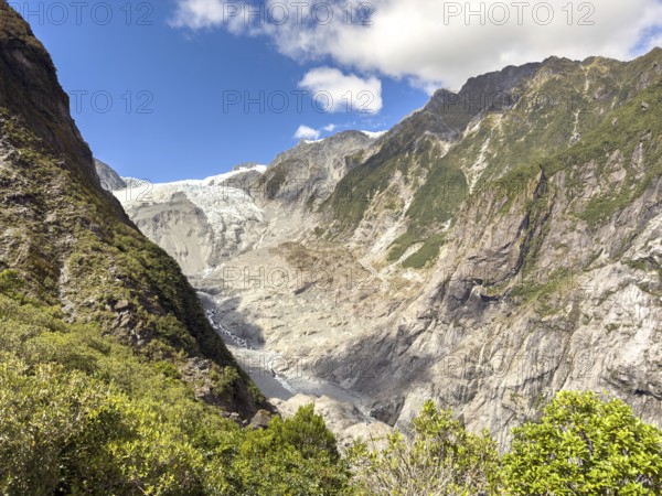 Hiking trail of the Roberts Point Track at Franz Josef Glacier, Franz Josef, Waiau, South Island, New Zealand, Oceania