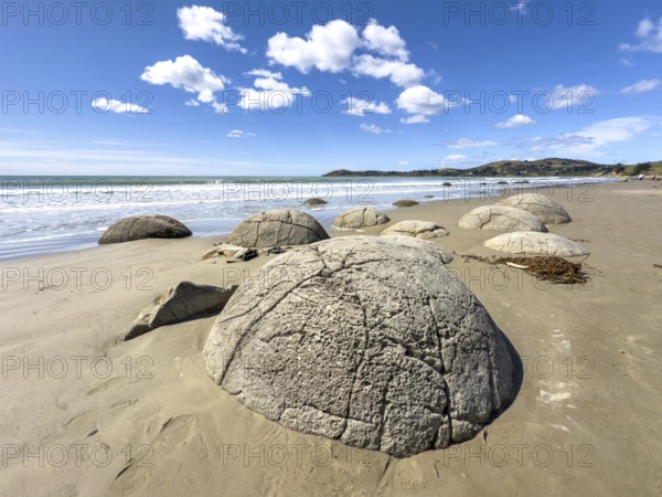 Round stones of the Moeraki Boulders at Moeraki Beach, Moeraki, South Island, New Zealand, Oceania