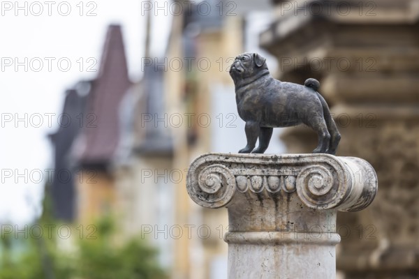 Loriot memorial with pug. In memory of Vicco von Bülow, who began his career in Stuttgart. Stuttgart, Baden-Württemberg, Germany