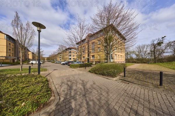 Residential area, apartment blocks, residential building, lantern, bare wintry trees, parking boxes, vehicles, blue sky, cumulus clouds, street Großer Werder, Magdeburg, state capital, independent city, Saxony-Anhalt, Germany